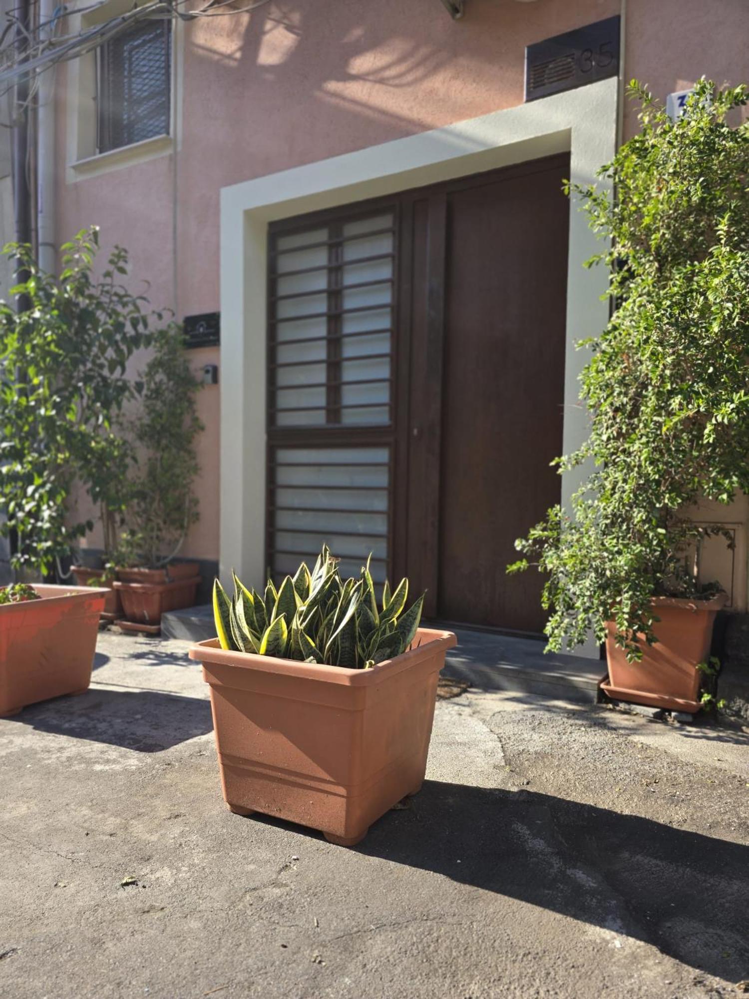 Benedettini Little House Villa คาตาเนีย ภายนอก รูปภาพ